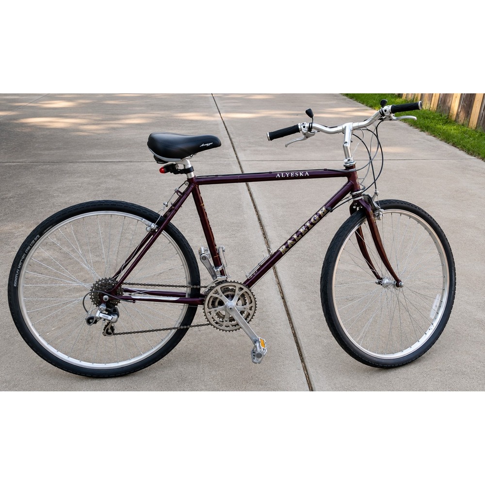 Raleigh 18 Speed Triple Crank 58cm Rare Vintage Road Bike Alyeska Bicycle